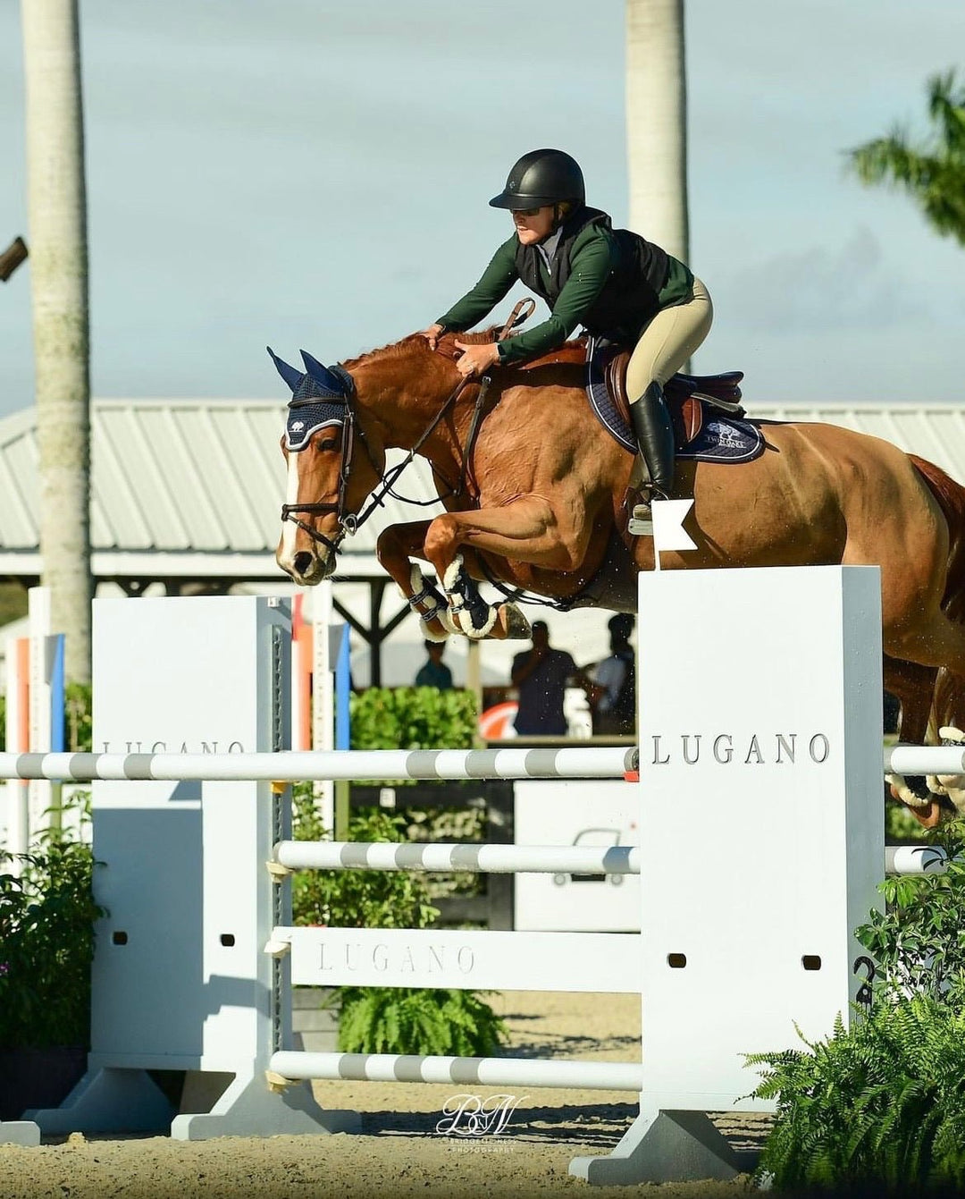 Hannah Competition Knee Patch - Tan