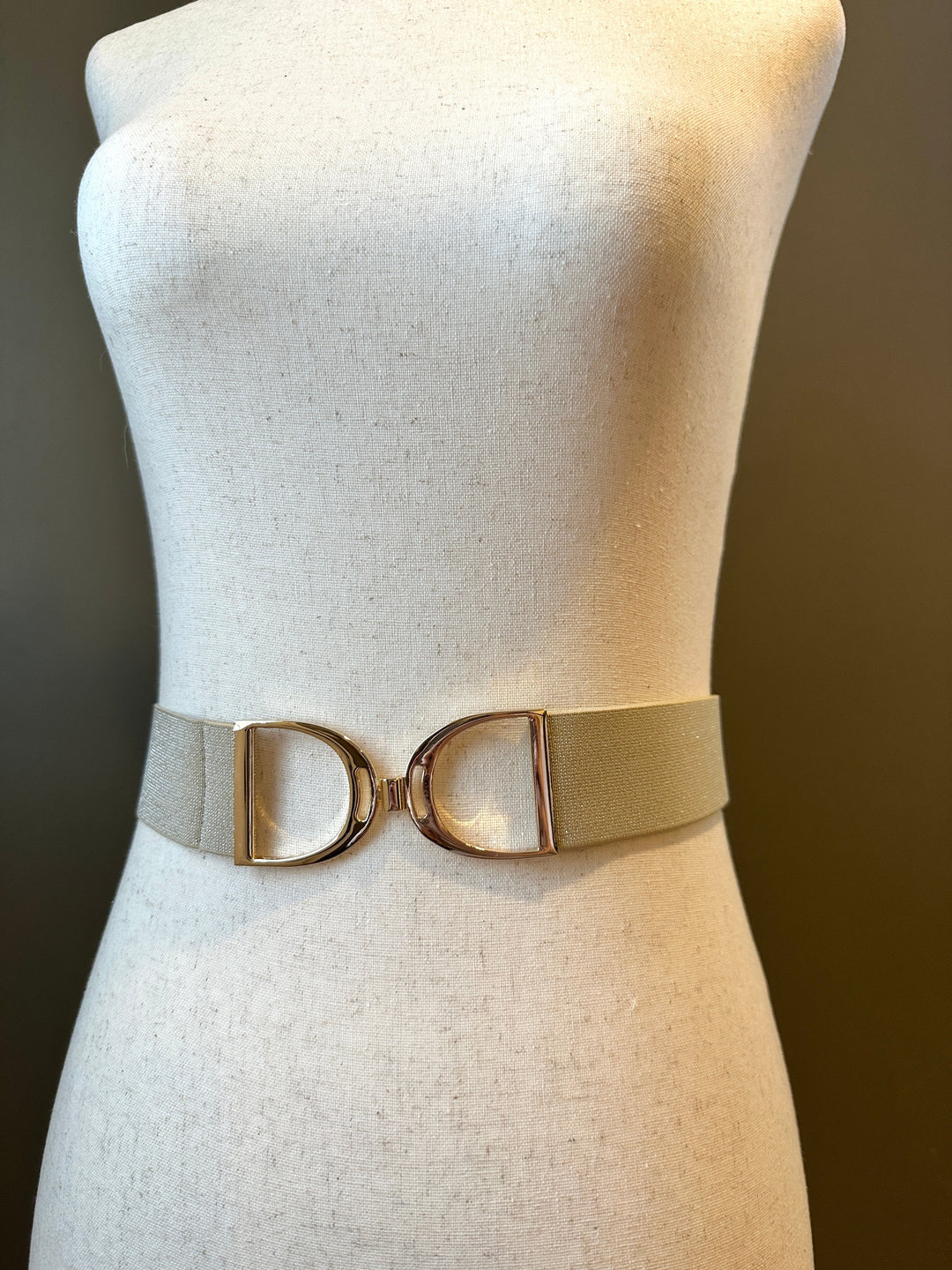 KMA Equestrian Elastic Gold Dust Elastic Belt with Gold Stirrup Buckle 2